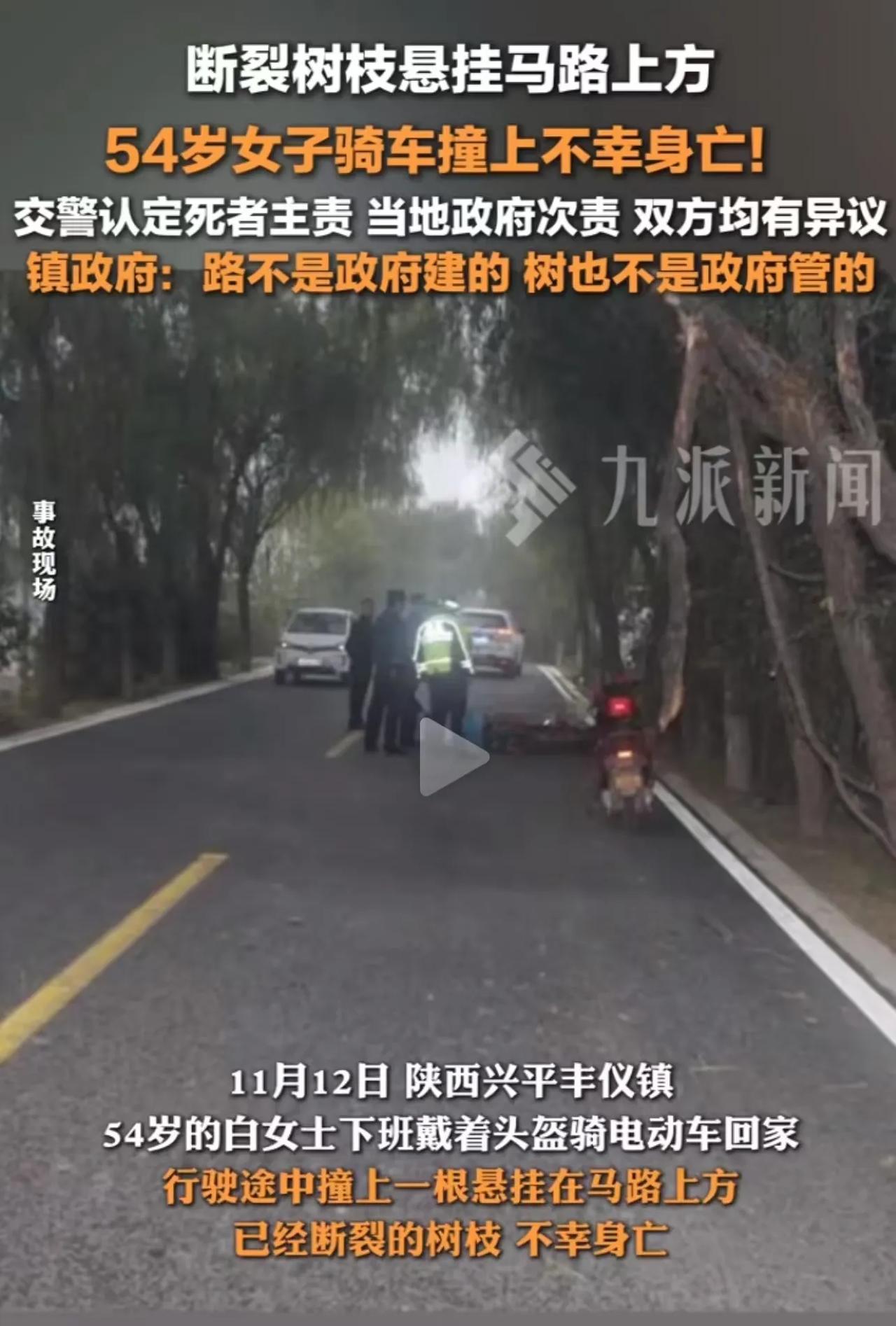 吵翻了！陕西兴平，54岁女子下班骑电动车回家时，撞上一根断裂悬挂在马路上方的树枝