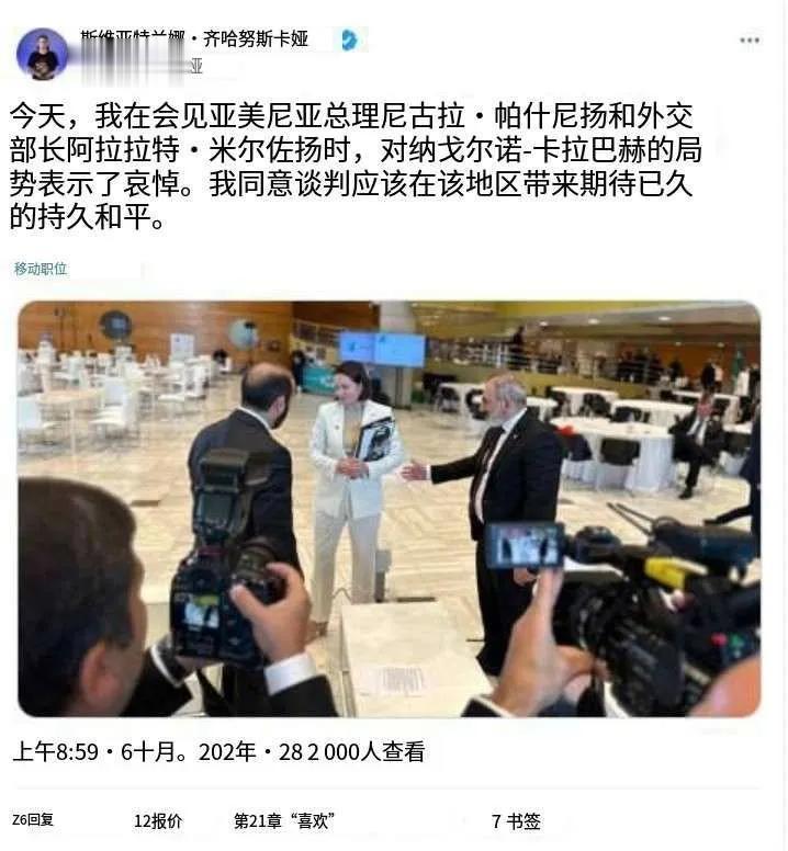 斯维特兰娜·蒂哈诺夫斯卡娅在其博客上谈到了她、尼科尔·帕希尼扬和亚美尼亚外交部长