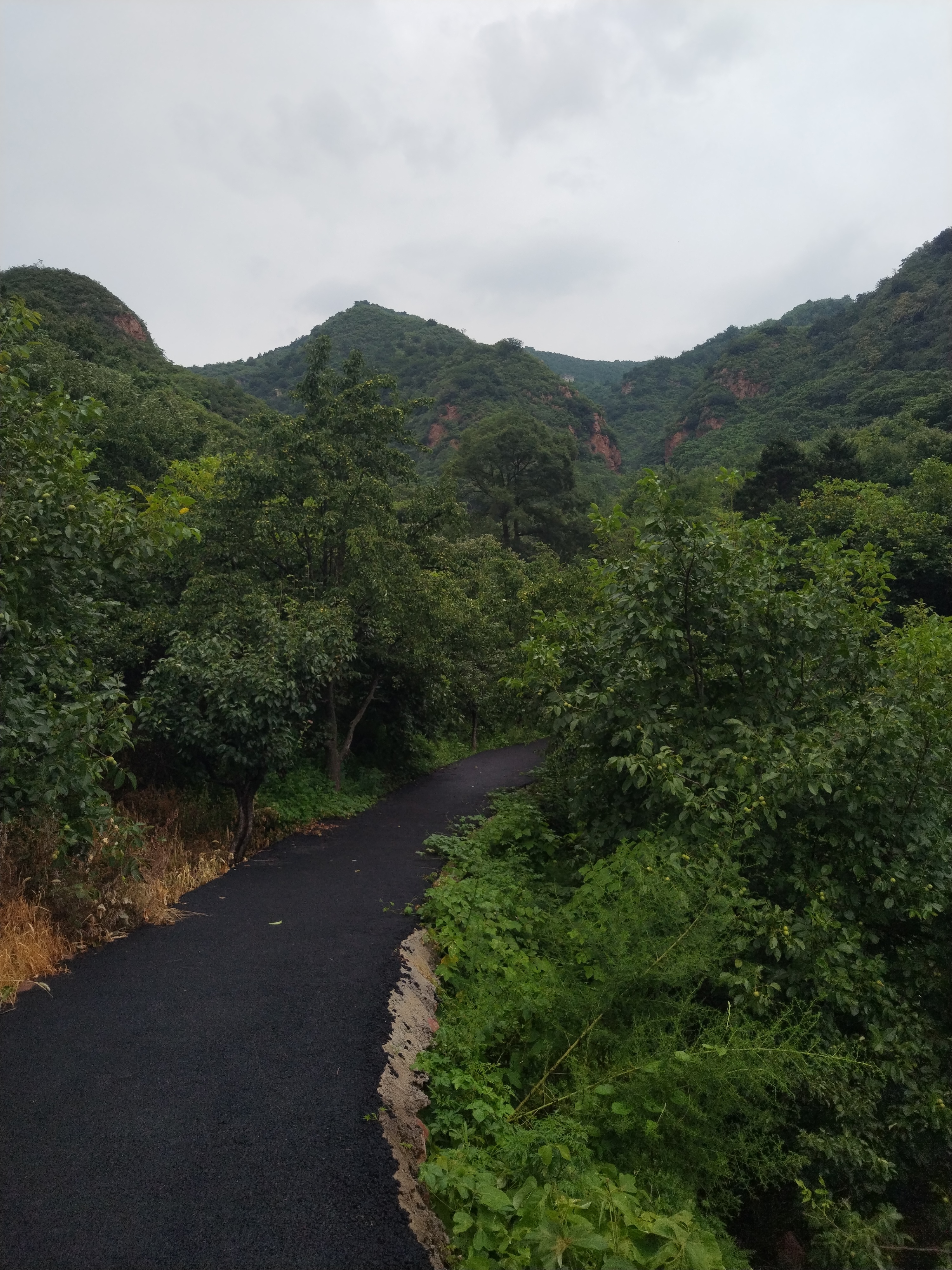【京郊村村通】今天在密云和兴隆之间的山里乱转了四十多公里，路况十分复杂。淋了雨又