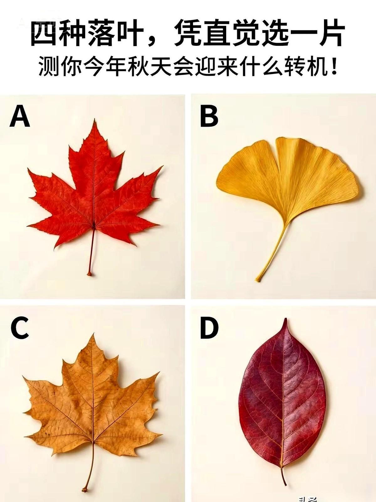 人啊，有时候就是活得太明白了，反而累。
什么都要权衡利弊，什么都要计算得失。
就