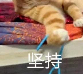 广西百色多个村镇被泡水中超半月广西百色那边不容易，受到三台风影响，广西百色多个村