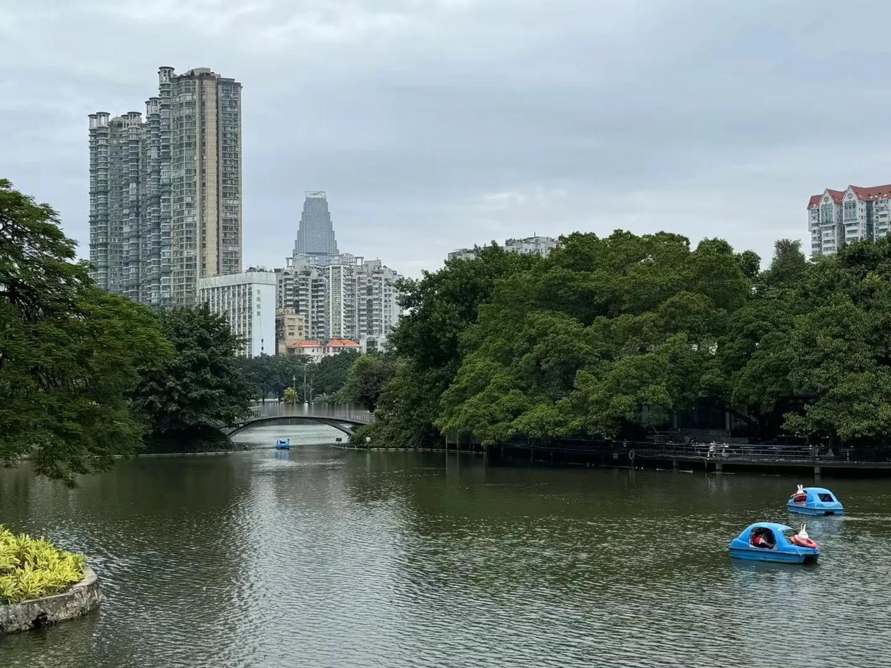 #分享一张秋景的树叶的照片#
湖上风光