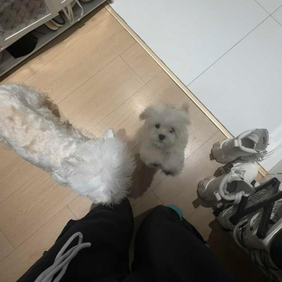 洗完澡的孩子们，好可爱 