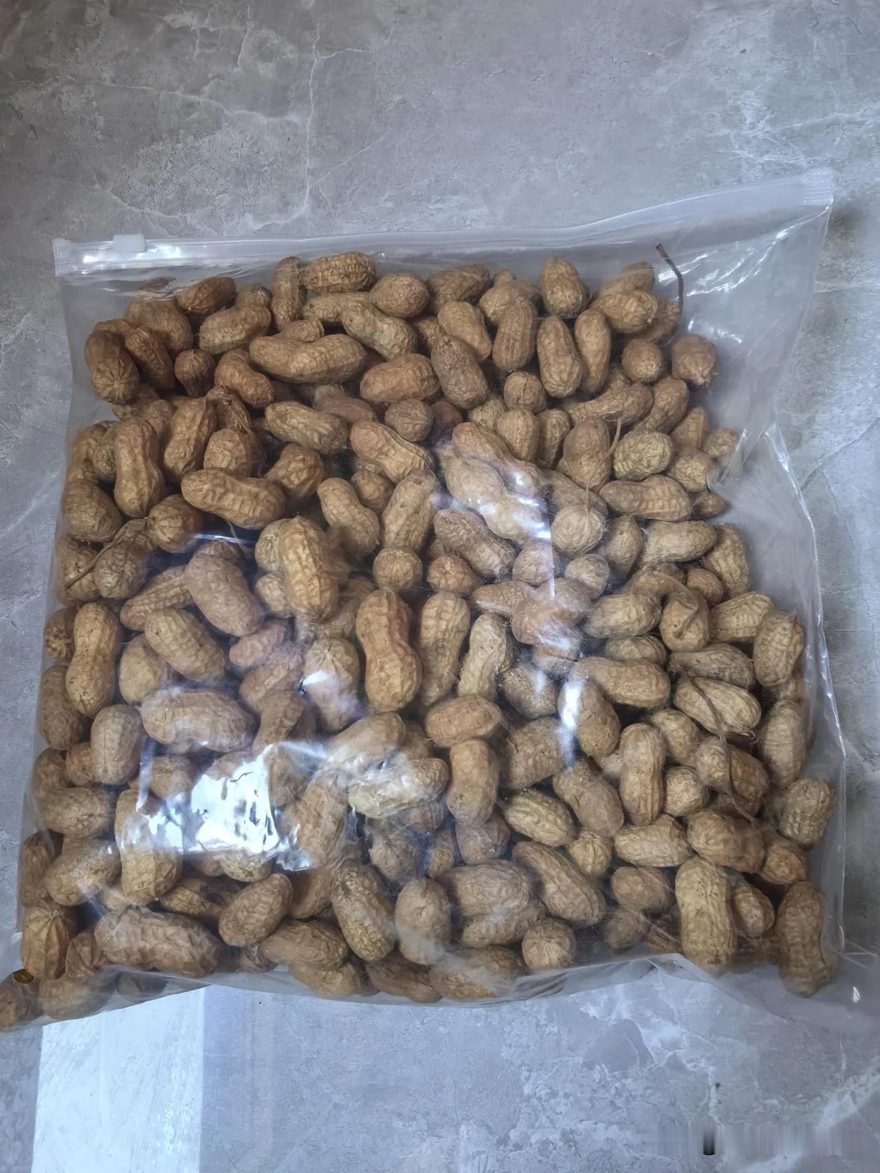 我弯下腰，剥开一个看了看，里面的花生籽是红色的，据生活经验判断，这是陈旧花生。但