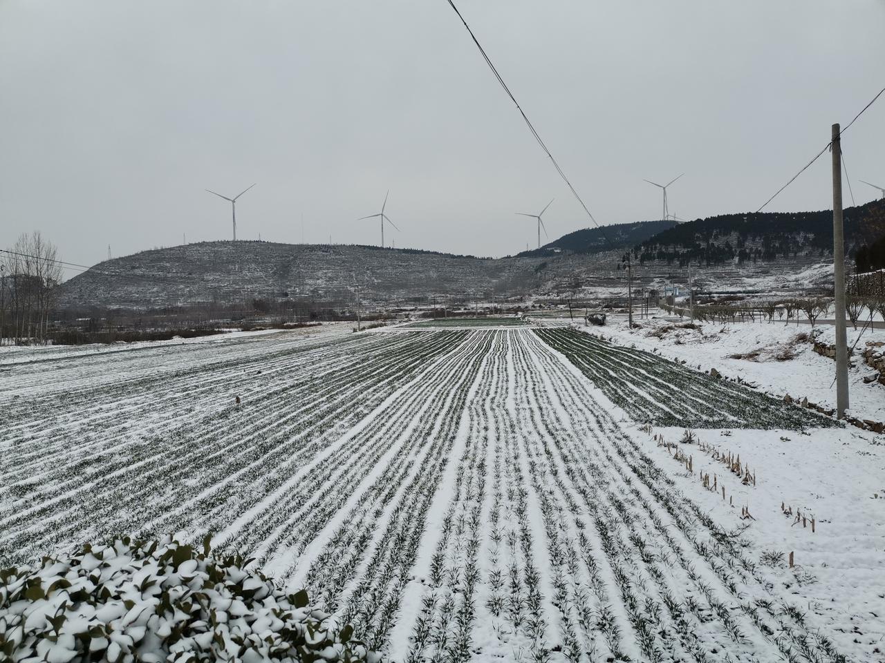 冬日生活打卡季2024年人类温室其他排放再次创新高，全球大气中的二氧化碳（CO₂
