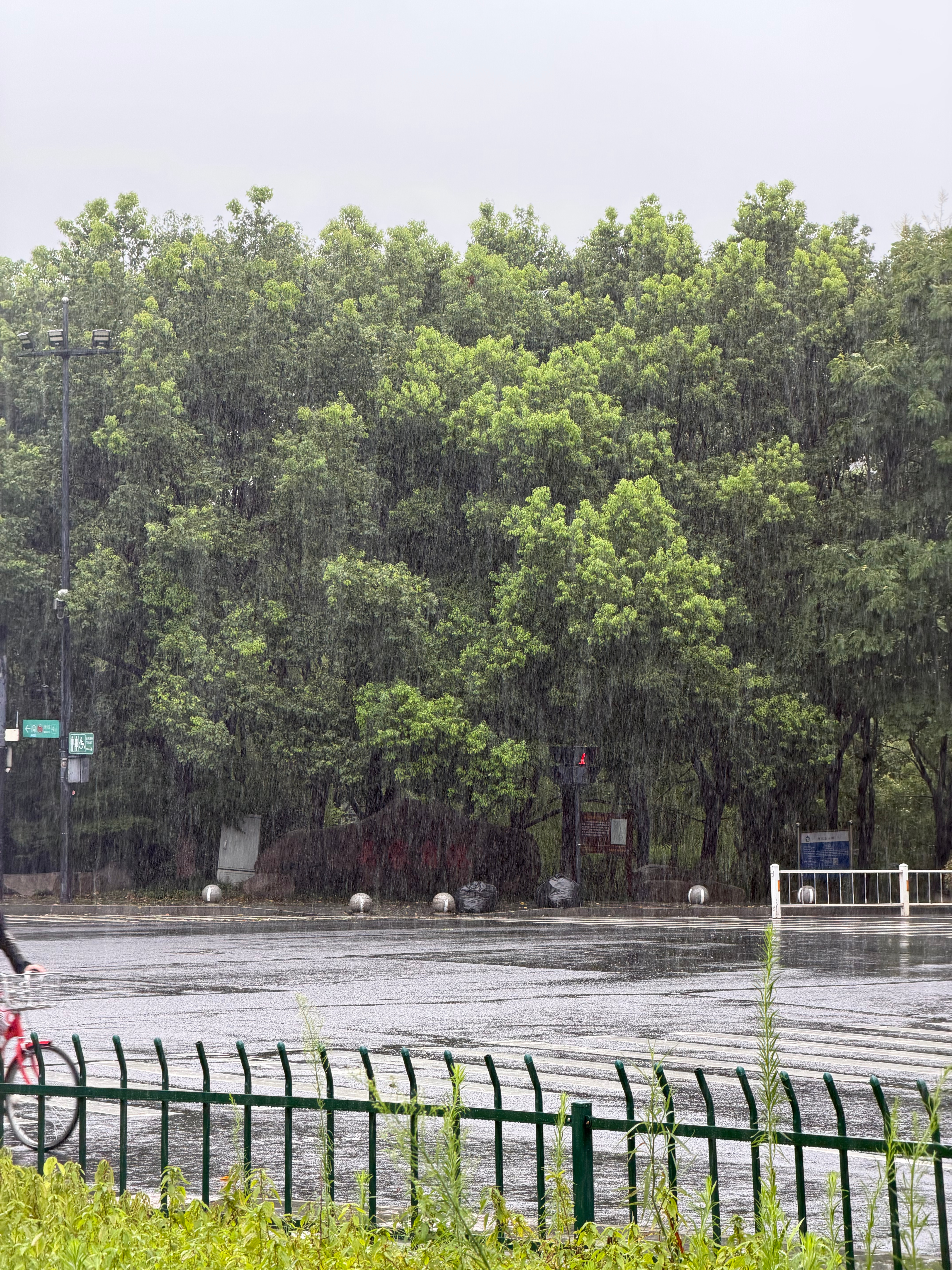白海豚 上班感受下周一的雨 