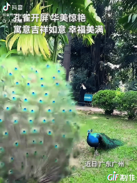 “火到人民日报了！”网友外出游玩，本想随手拍风景，不料，当他定睛一看，竟发现了令