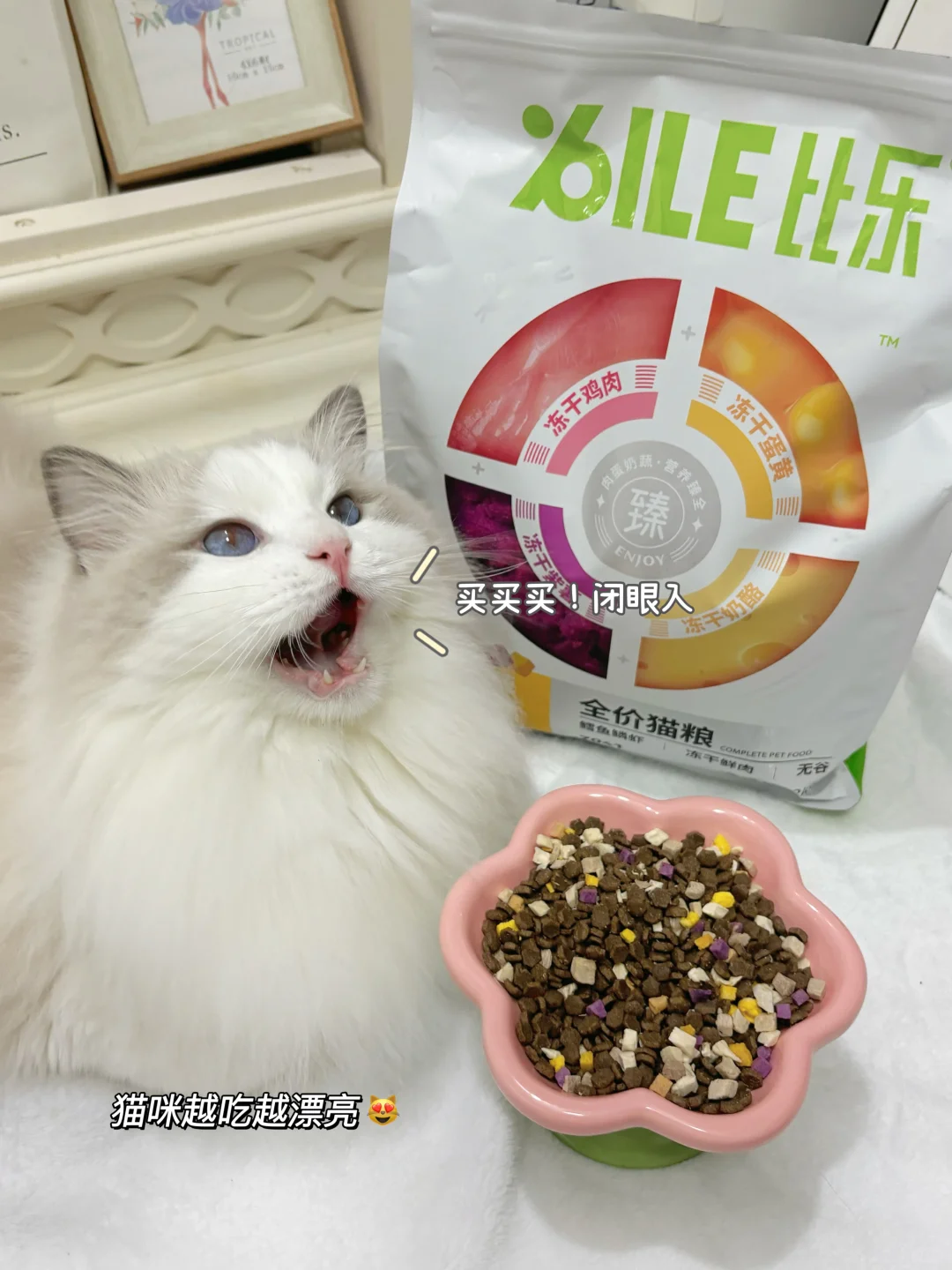 家人们，你们家猫猫都吃的什么猫粮呀