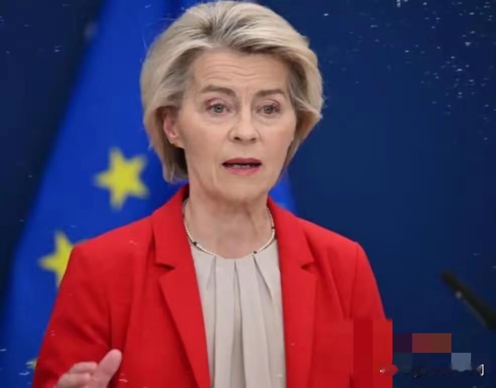 欧盟睡不着了

4月24日，中国商务部发布公告，将7家欧盟实体列入出口管制名单。