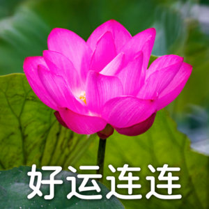 在社会主义建设时期，爱国主义更多的不是表现为赴汤蹈火，壮怀激烈，而是表现为奉公守