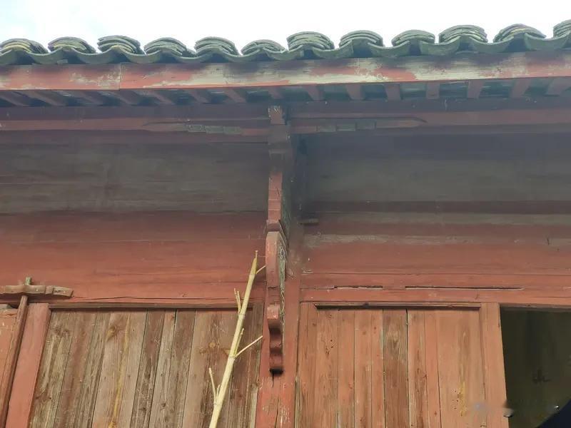 坐标

像老屋门楣上，
父亲用铅笔划下的那道横线。
每年春天，
我们背靠门框，