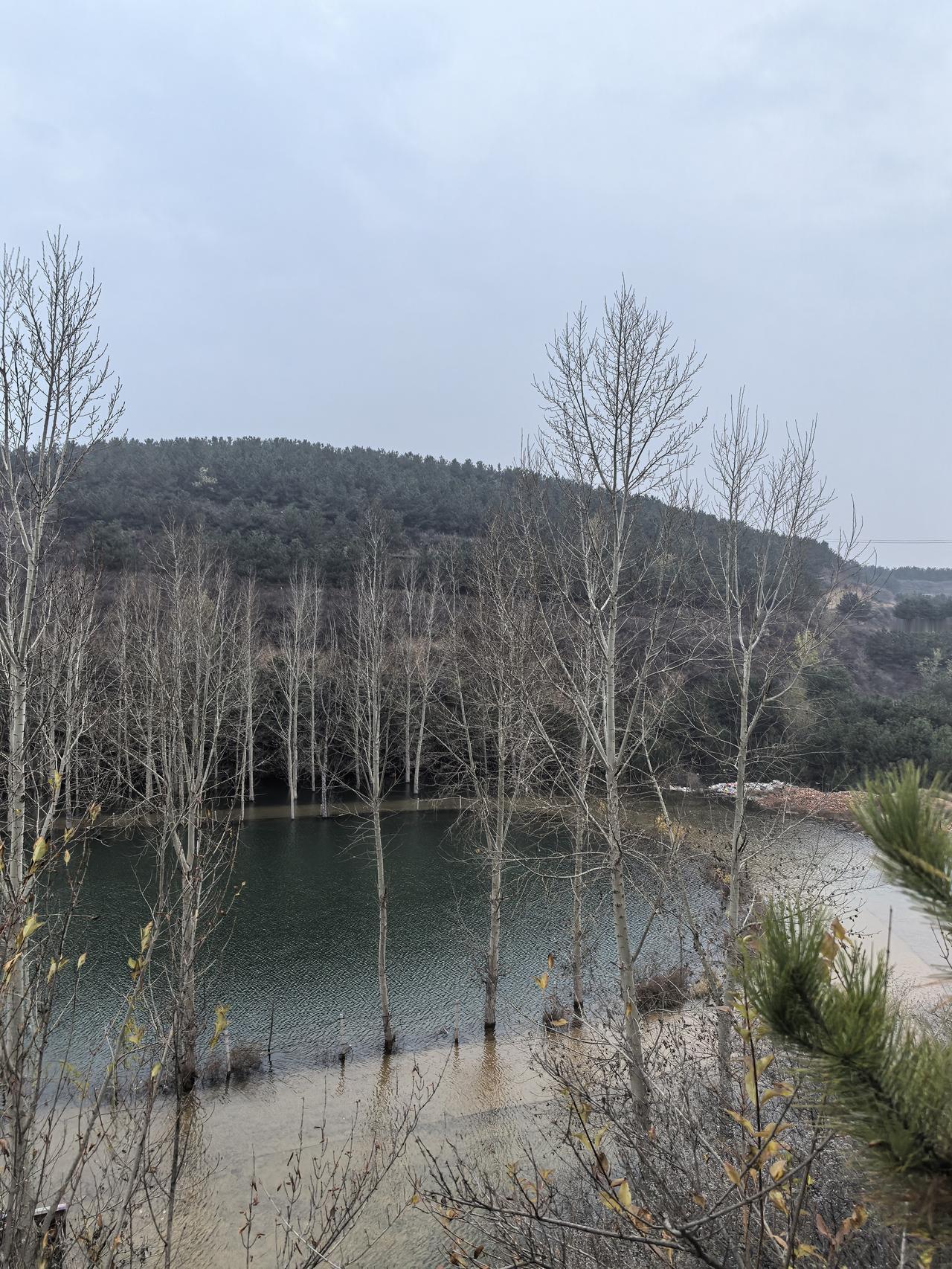 分享一组秋色的美景