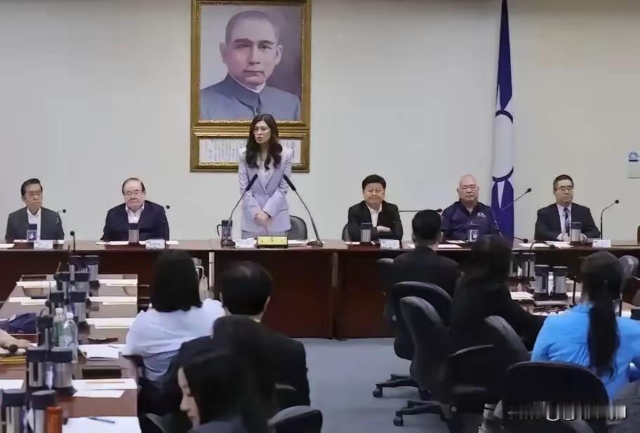 派系内耗根深蒂固，国民党难撑在野大局？
 
百余年风雨历程早已印证，国民党长久深