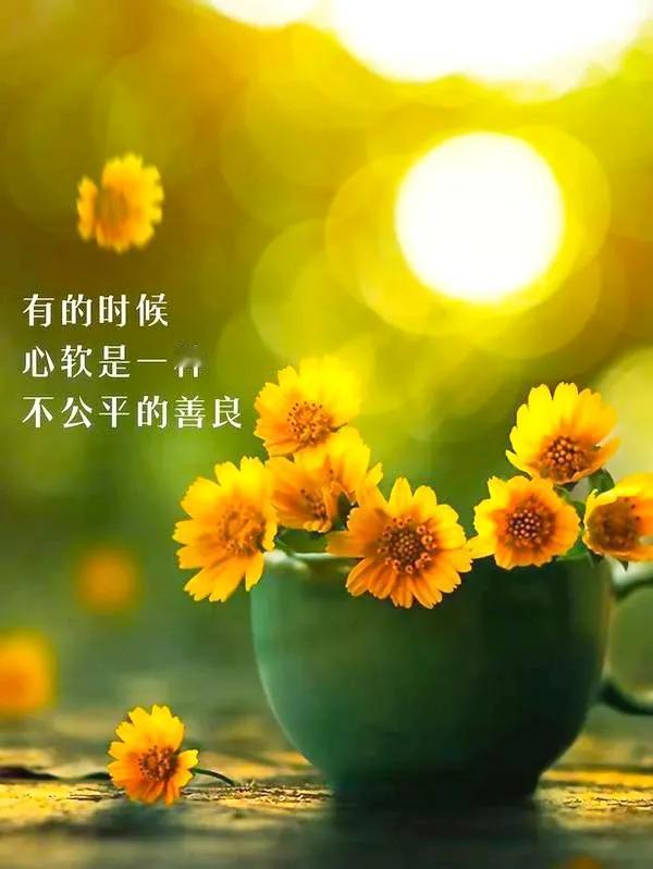 女人到了中年一定要明白
无论你多么善良
永远要懂得保护自己不被伤害
不要随便可怜