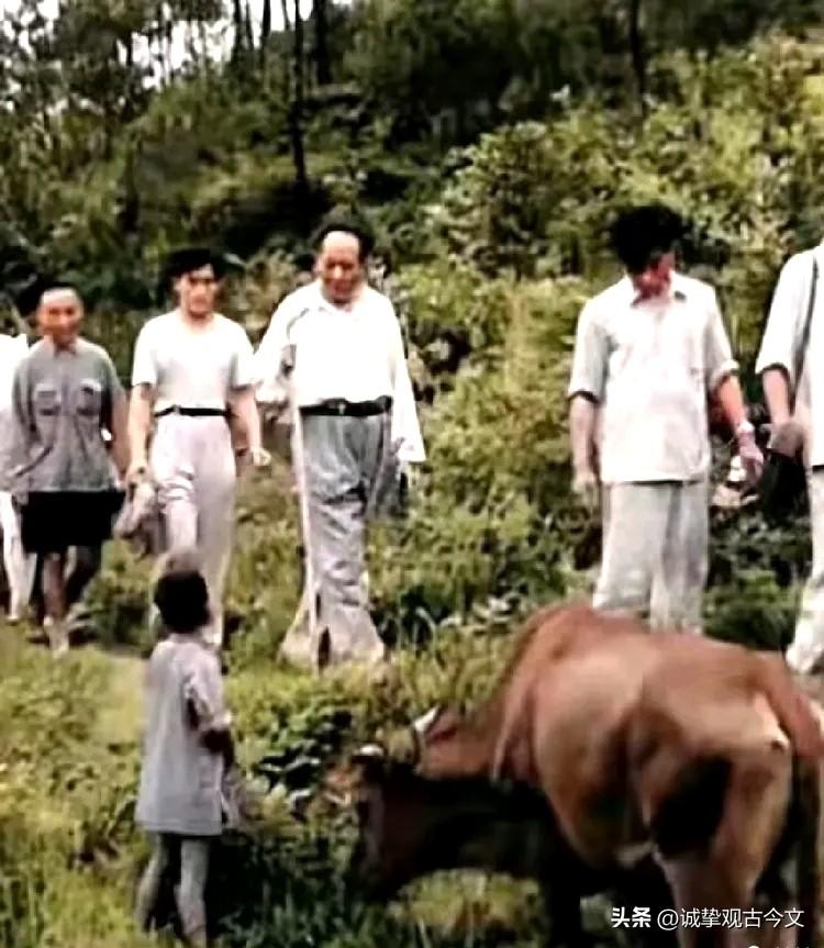 1959年，毛主席回到老家韶山冲，他在看望老乡的山路上碰到一个放牛娃，而后马上停