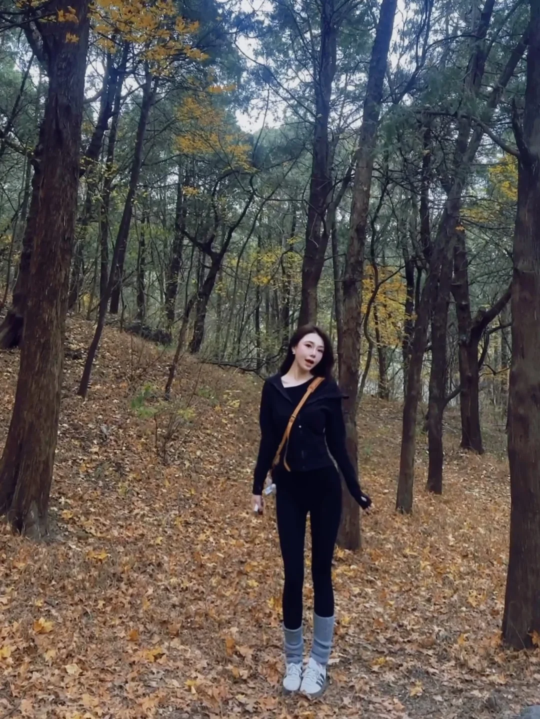 🍁