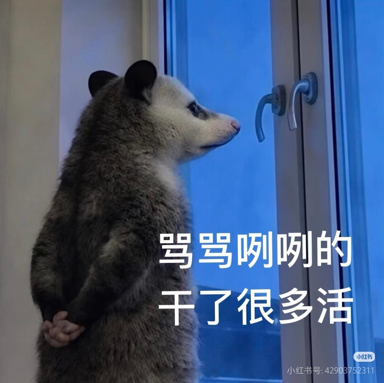 今天情绪不好路过的狗都想踢一脚. 