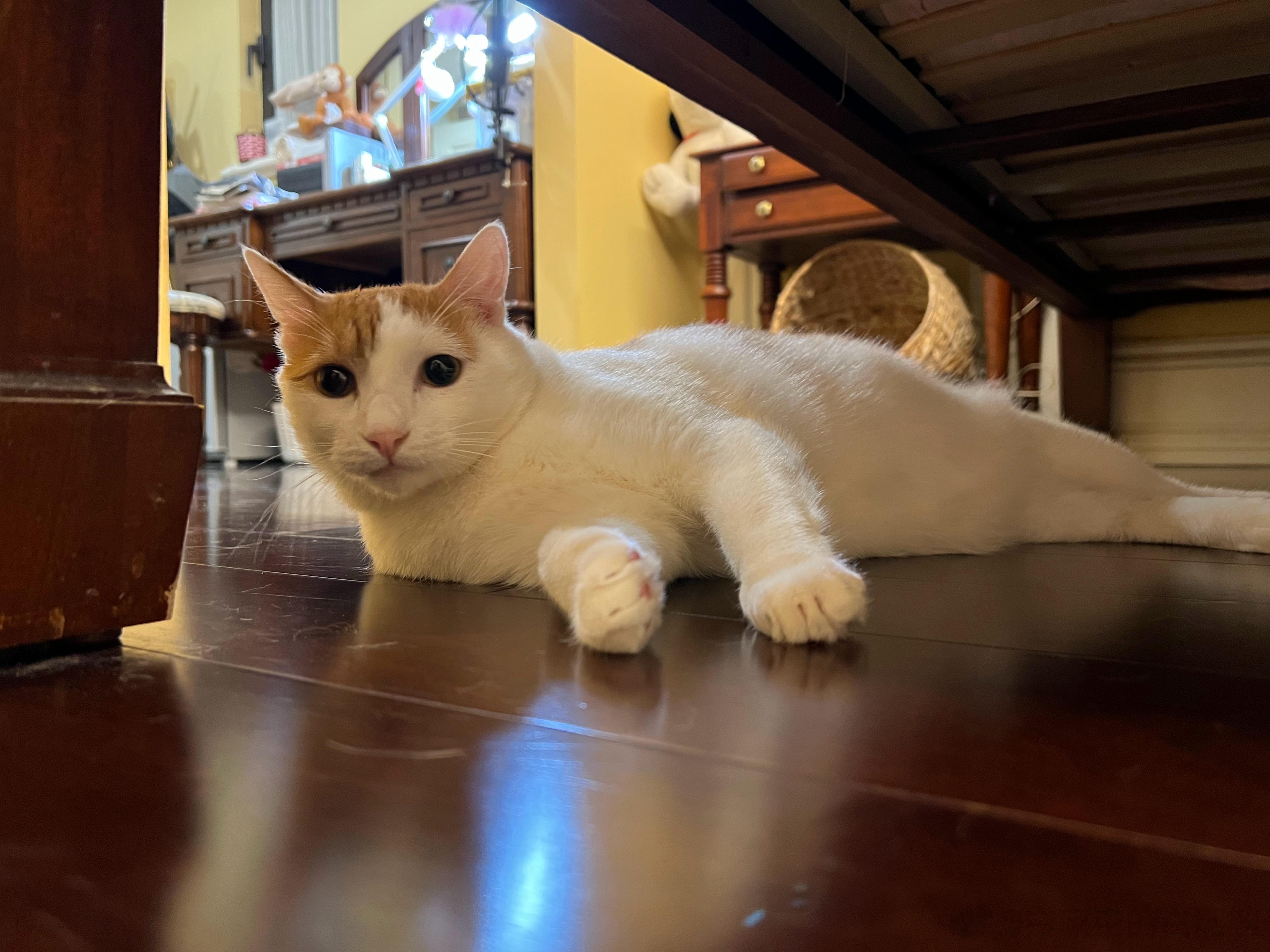 等我退休了，我就把猴猴的工作机会给抢了，让他失业，让他感受一下社会的险恶！ ​​