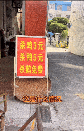 没看懂，上次我这杀鹅还花了10元呢！
