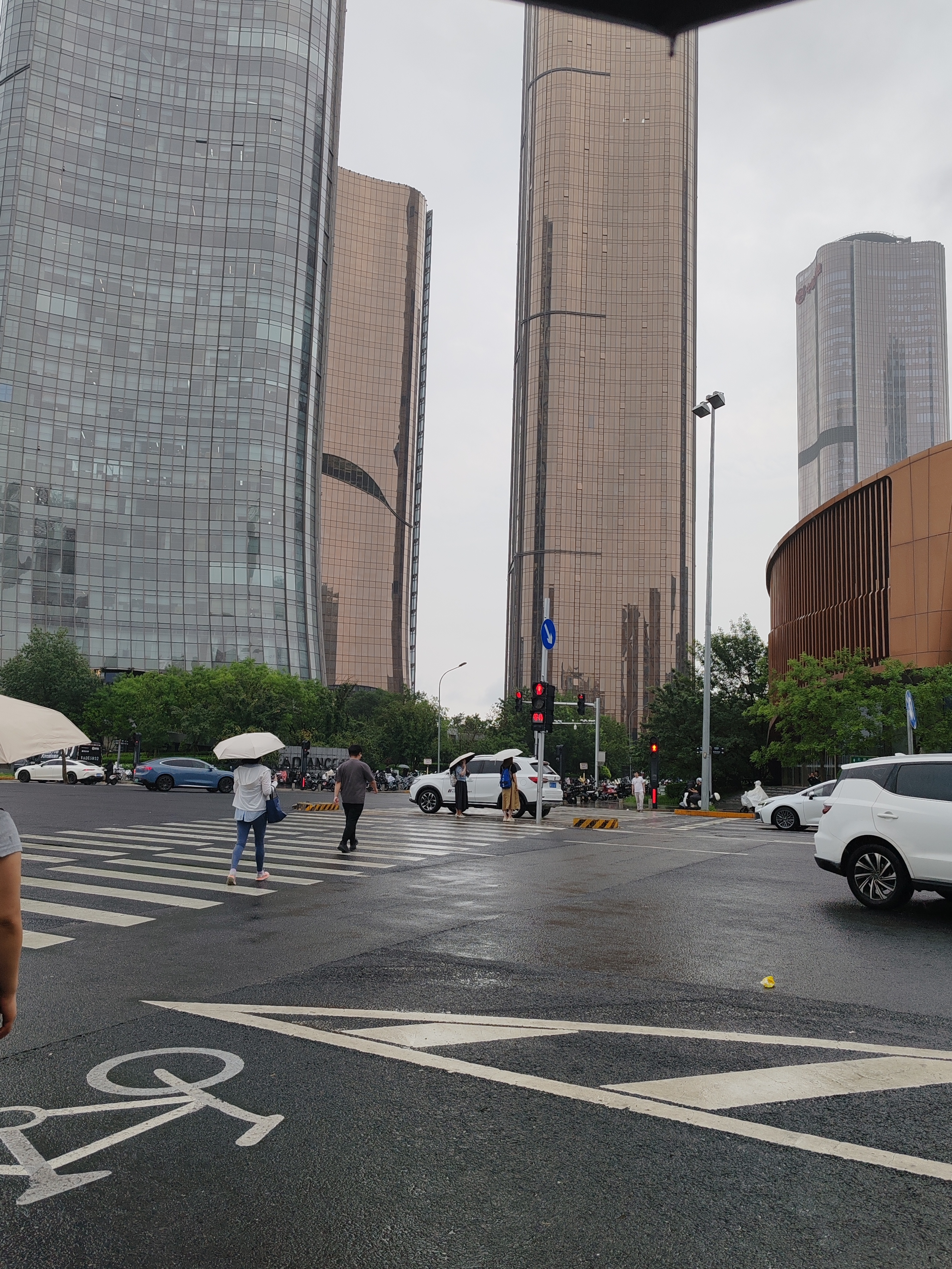 北京大雨 北京终于痛痛快快的下雨了🌧Rosy赵露思/谷嘉诚《好像掉进爱情海里 