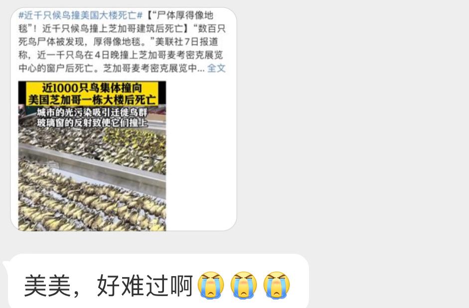 玻璃建筑对鸟类真的很不友好[伤心] ​​​
