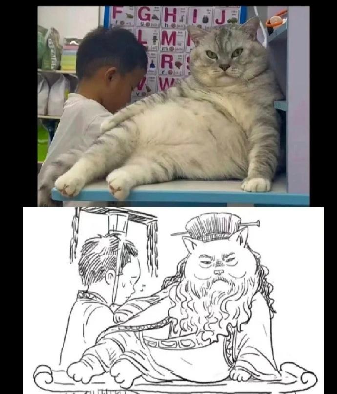 汉献帝和董太师[捂脸]