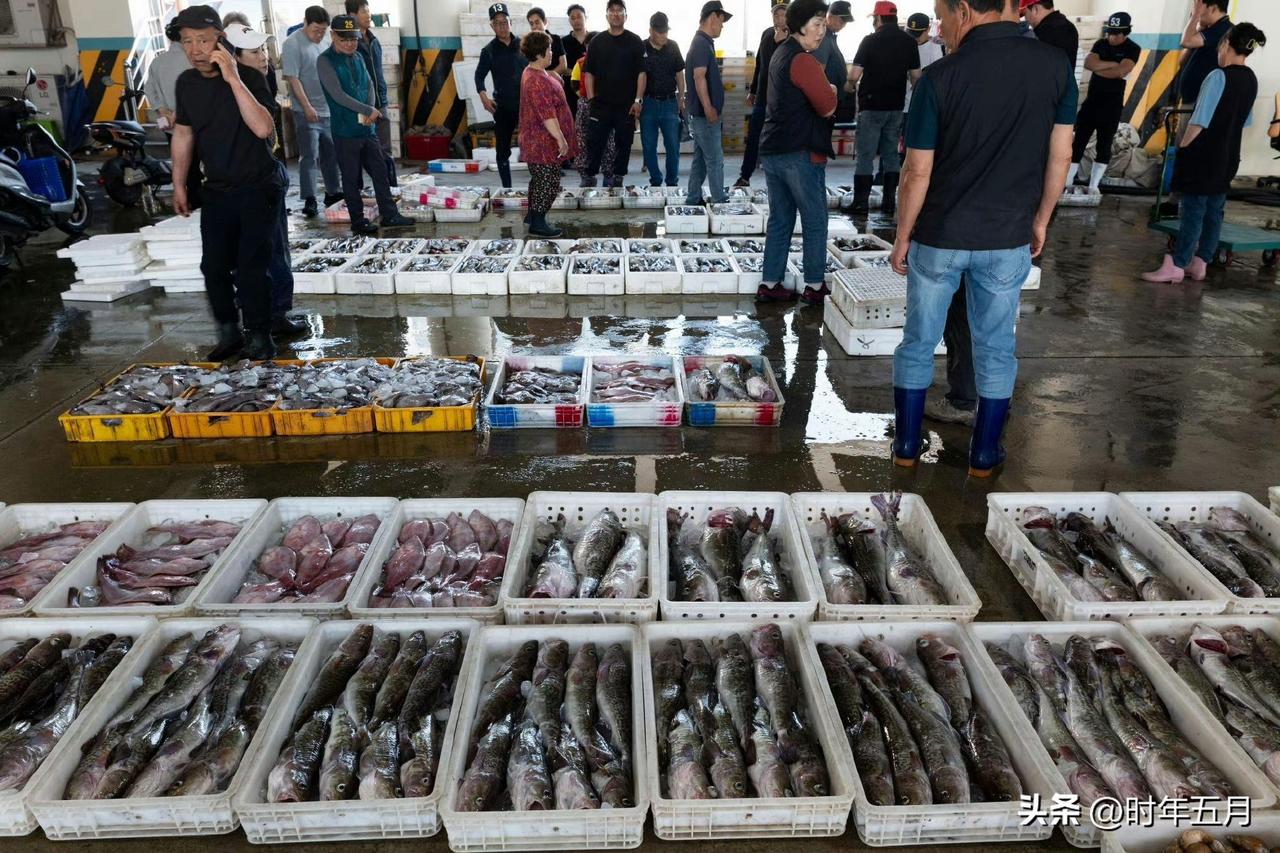 霍尔木兹海峡的风浪正拍上韩国人的餐桌。帝王蟹价格一周狂涨56%，带鱼涨近三成，鱿