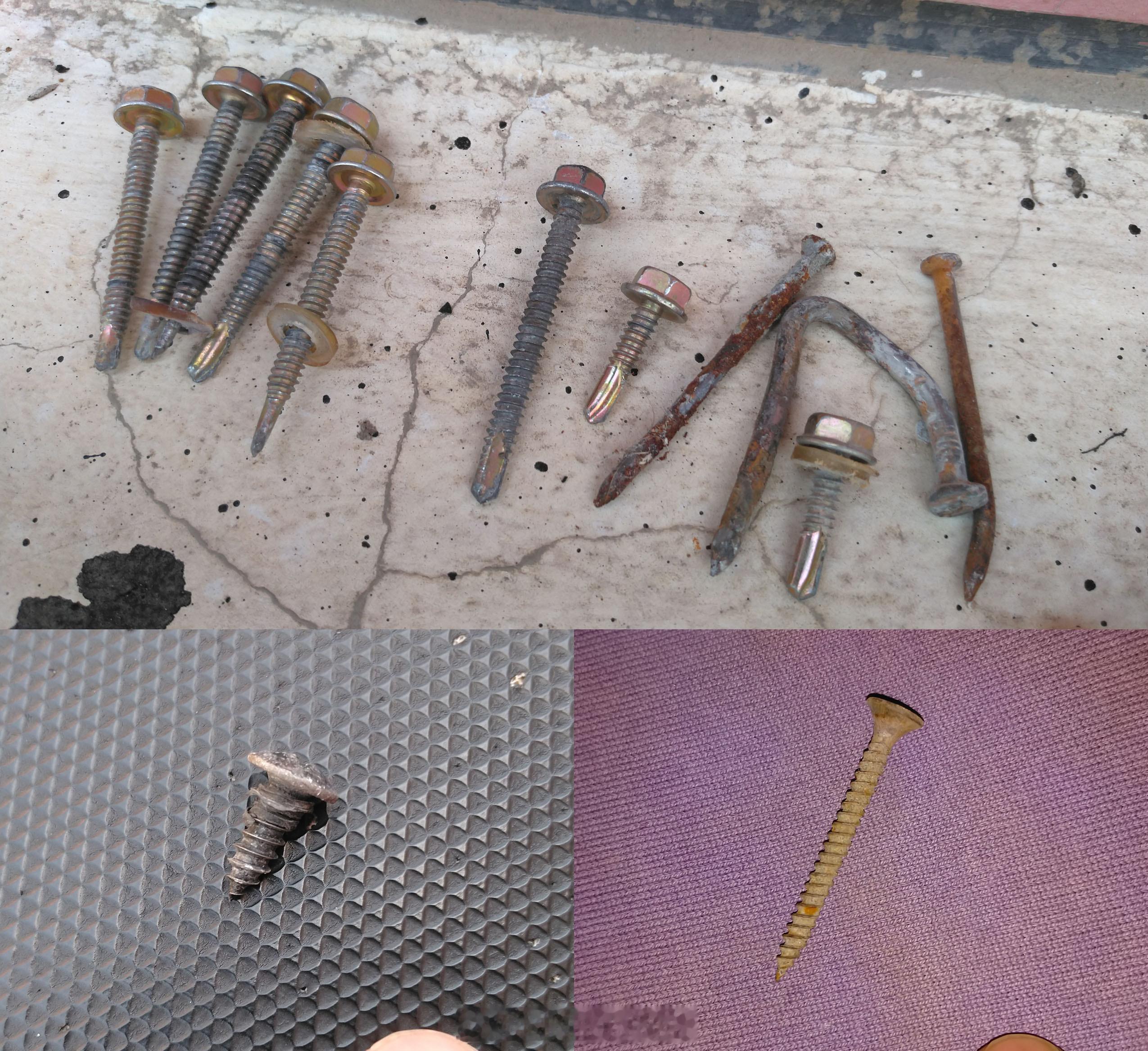 今日再添功德，主要还是学校旁边捡的。张家口