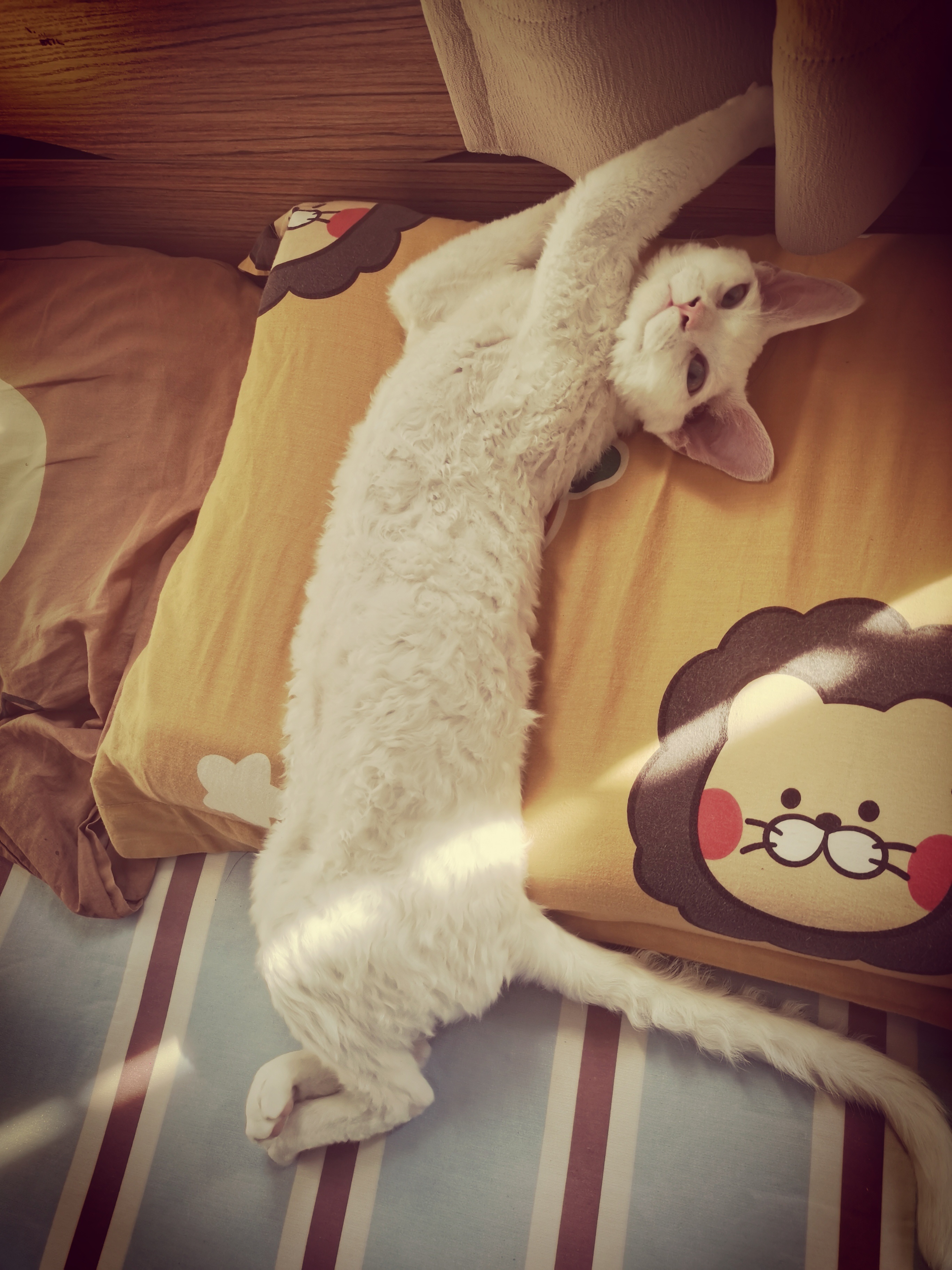 我闺女霸占了我儿子的枕头～还一脸享受～ 