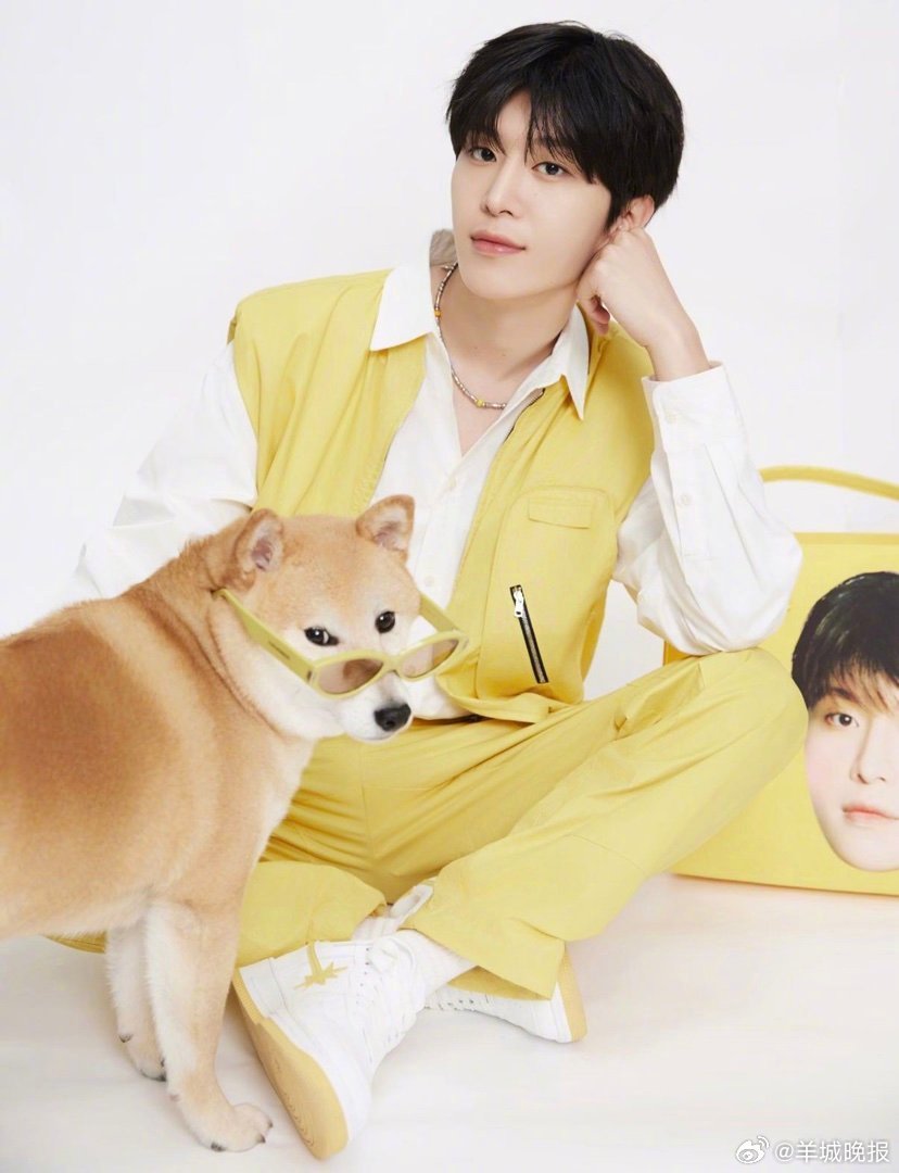 【明星和毛孩子的同款脸大盘点，你最喜欢谁】当明星撞上自家毛孩子，同款神态、同款眼