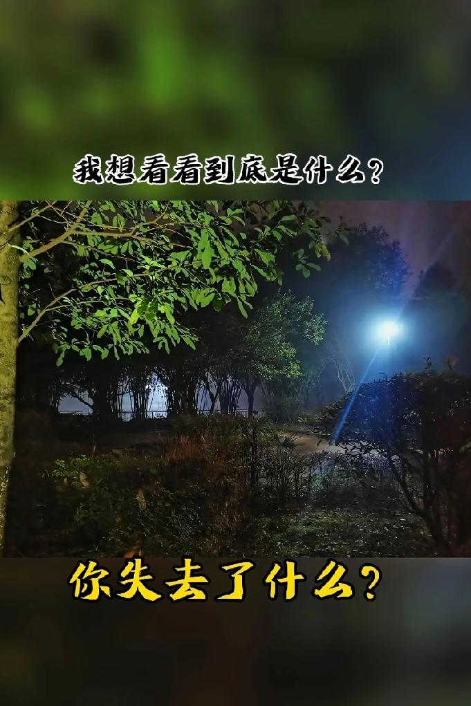 我觉得一个人失去了勇气就失去了全部。“狭路相逢，勇者胜”，勇气在人生中必不可少。