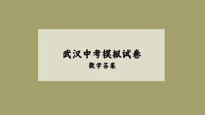 武汉2024面三月调考中考适应性考试数学答案及试卷