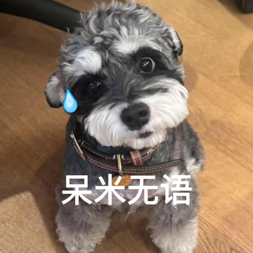 我真的是服了，这超话之前进来一堆结婚生娃的，现在进来一堆p假图的成绩。有猫饼。 