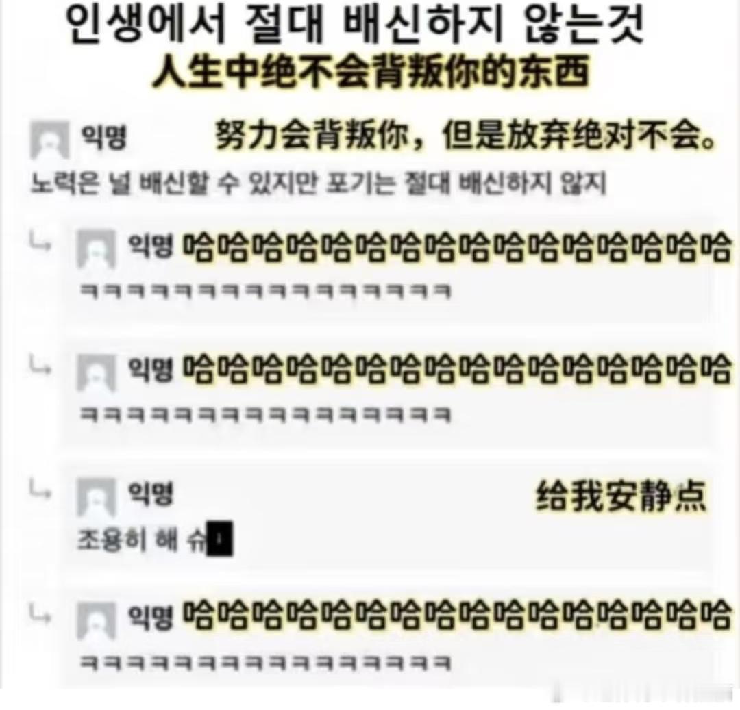 韩国人最该申遗的是他们的嘴，到底怎么练才能说出这么冰冷又好笑的话 ​​​