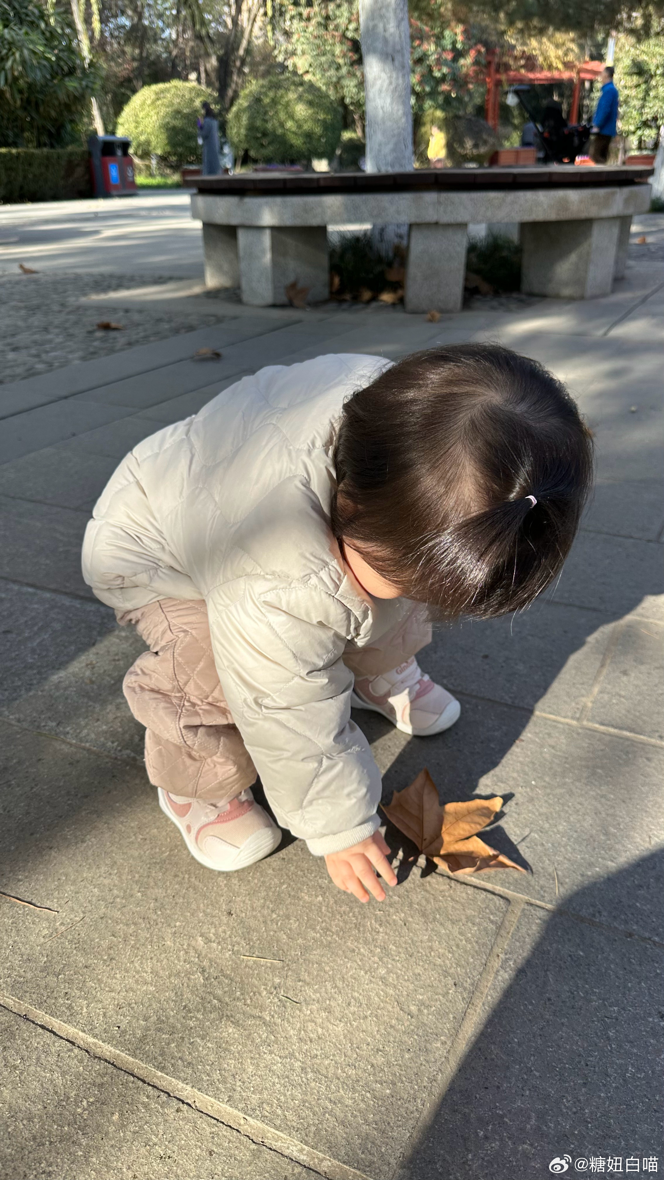 #糖妞家的日常[超话]# 🍂 ​​​