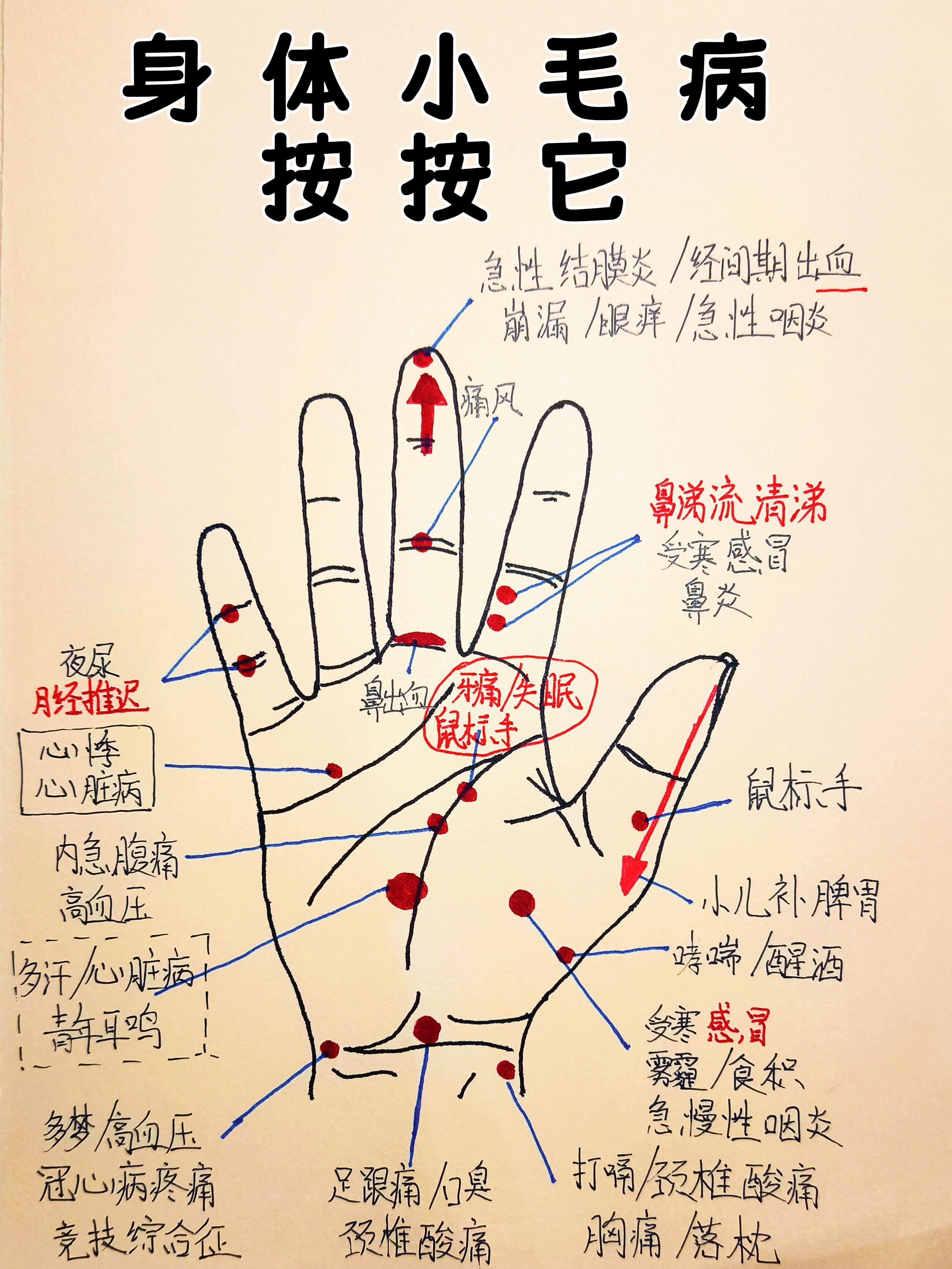 社身体小毛病按按它 中医养生穴位养生 ​​​