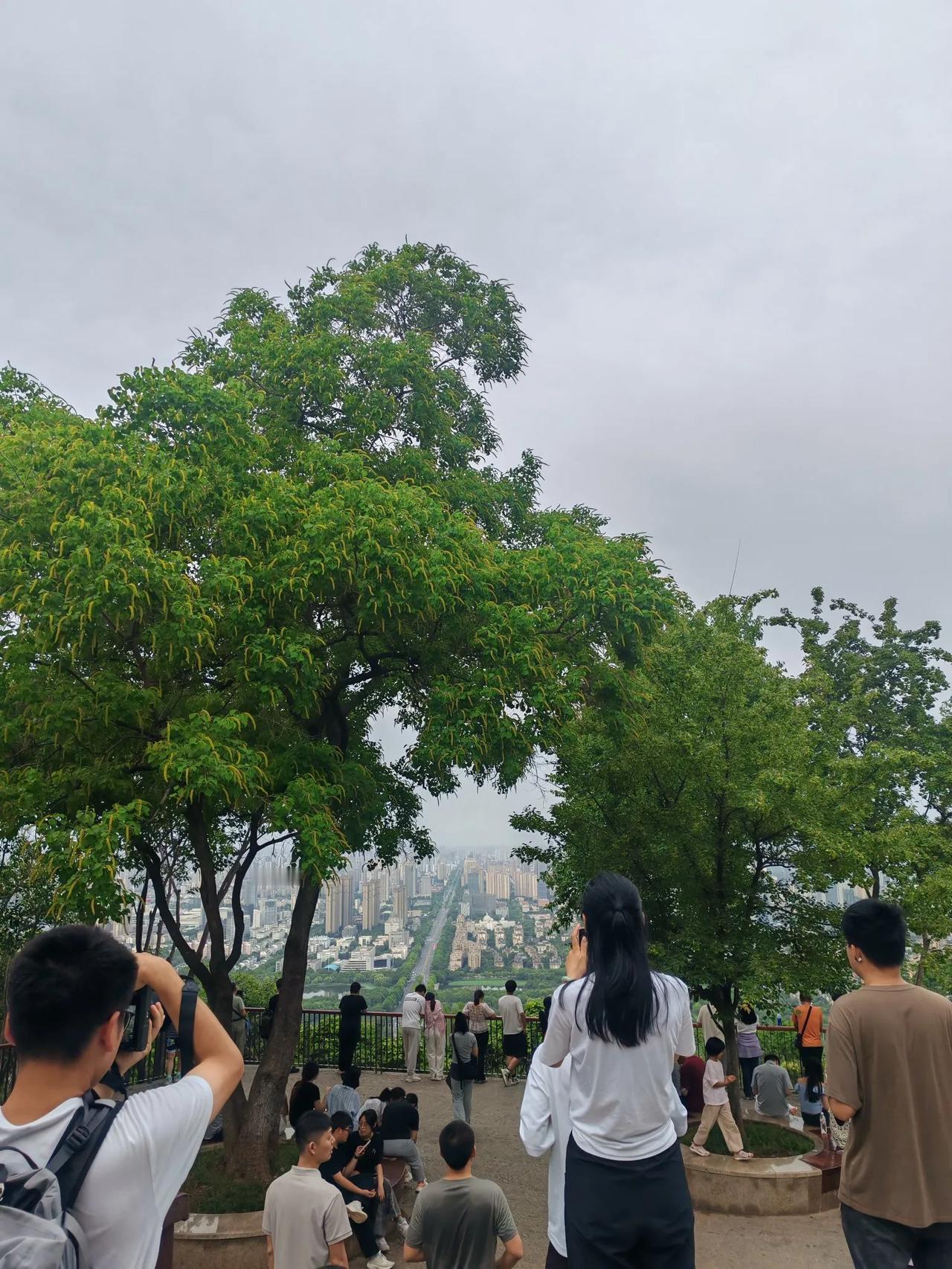 南京：合肥，你也是省会，有啥好玩的？
合肥：走，我带你爬大蜀山！
南京：大蜀山，