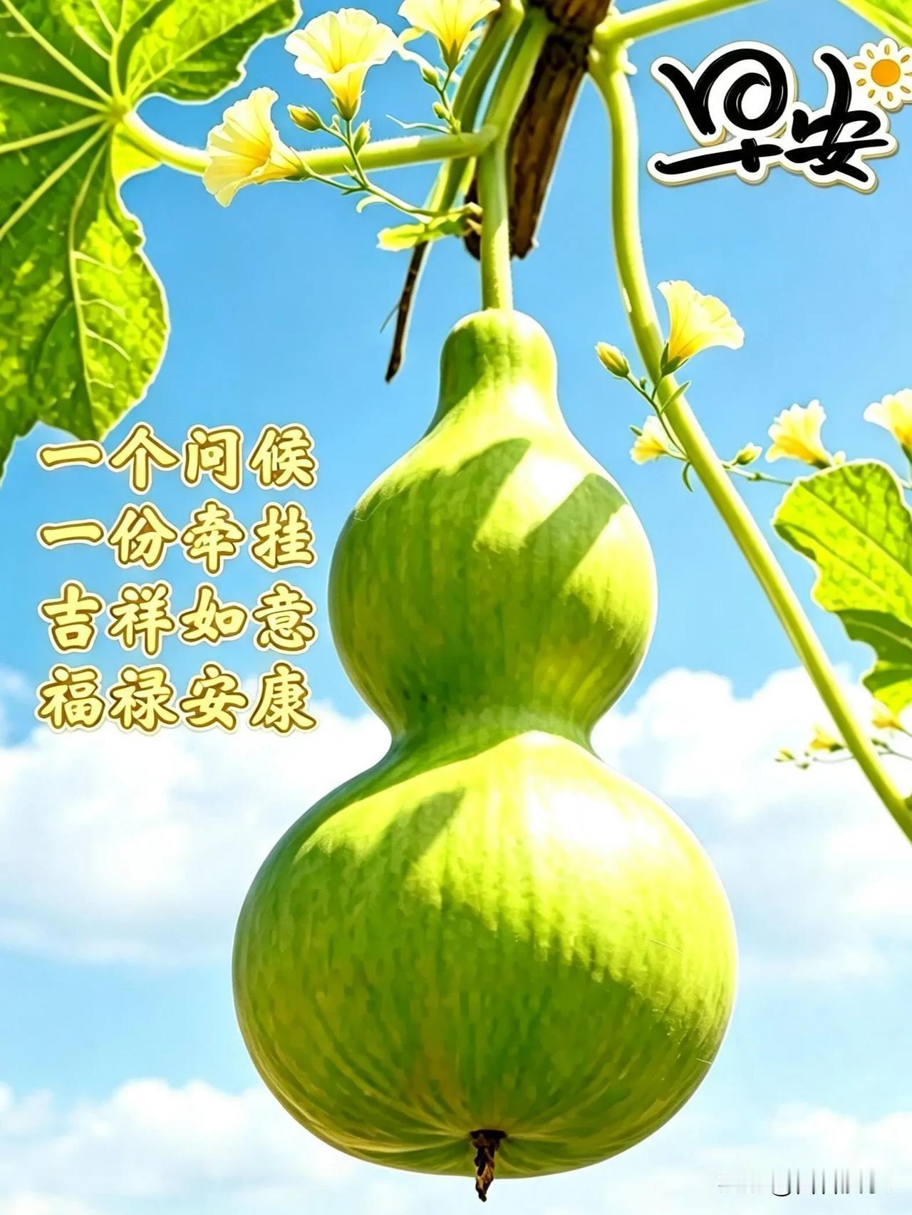 早安，生活虽多琐碎操劳，心中守住一份平和，相信凡事都会慢慢向好。