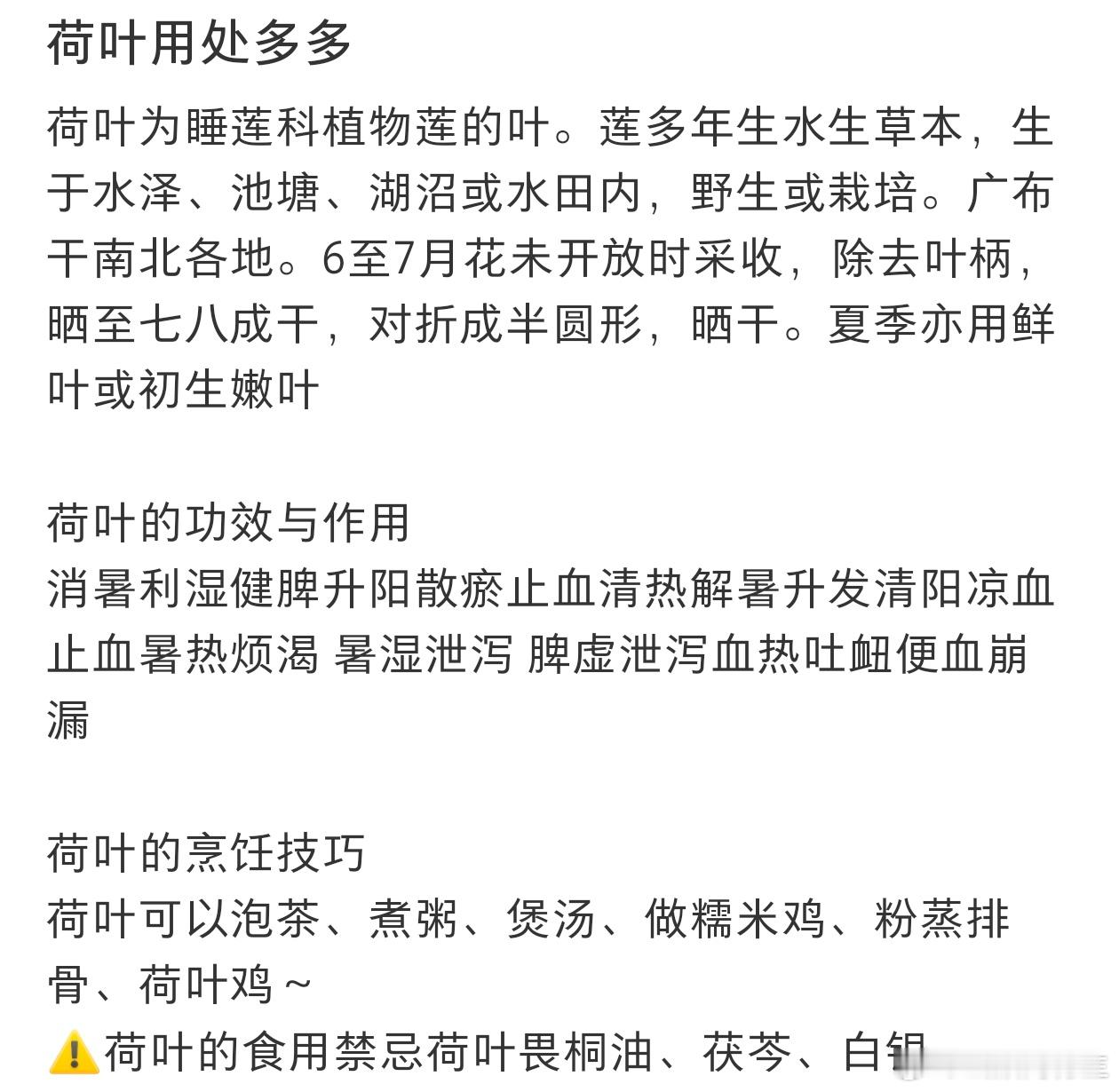 原来荷叶的用处有这么多中医眼中的莲从头到尾都是宝，可食用，可入药。 ​​​