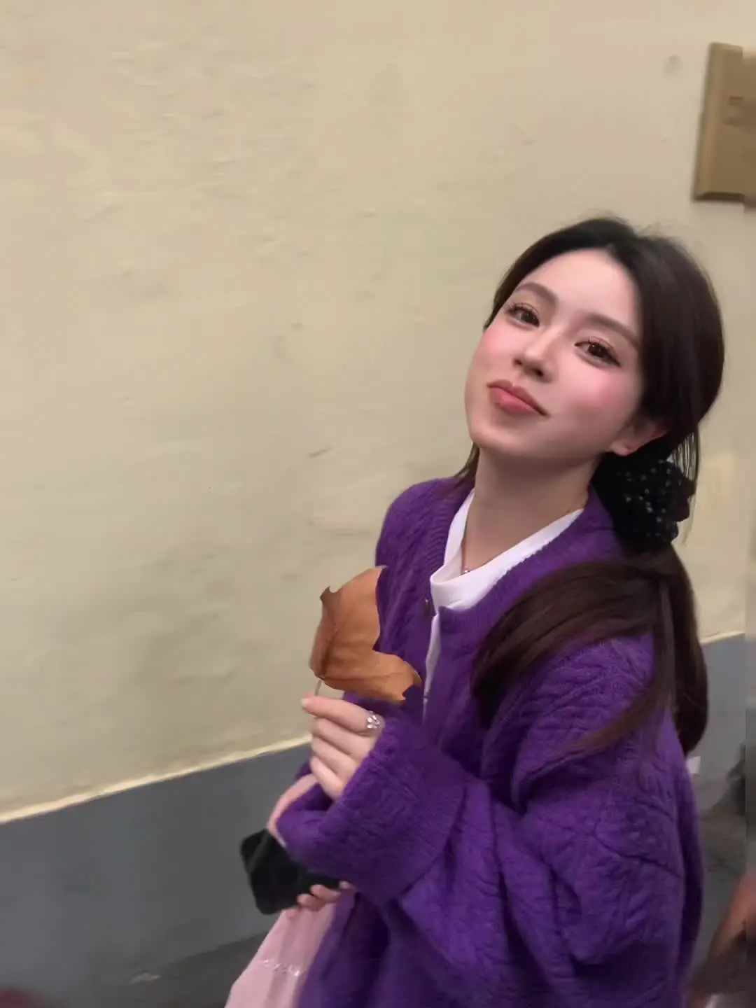 一叶梧桐解半秋