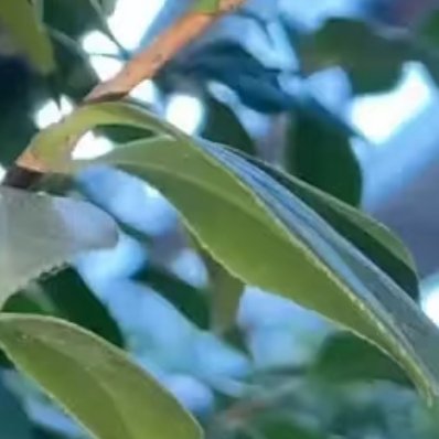 0000喜欢追梦的人，切记不要被梦想主宰；善于谋划的人，切记空想达不到目标；拥有