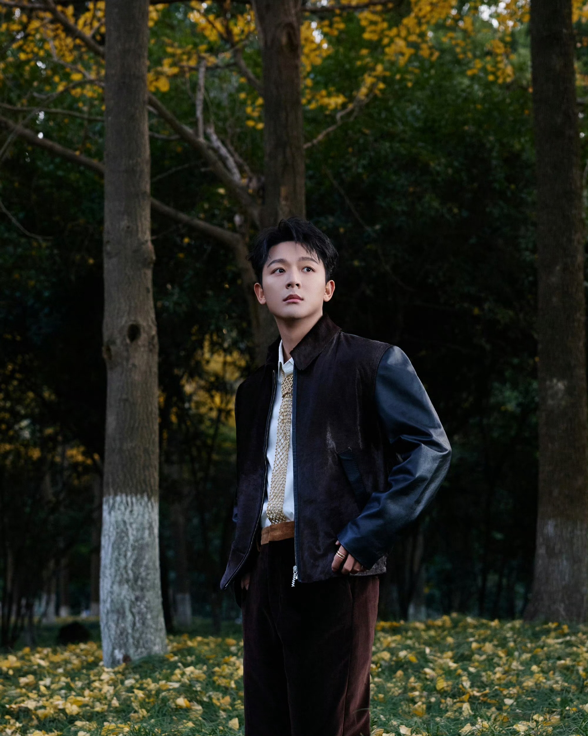 张晚意张晚意的三行诗挑战向全世界安利张晚意生活手记左边好看右边好看？随便 