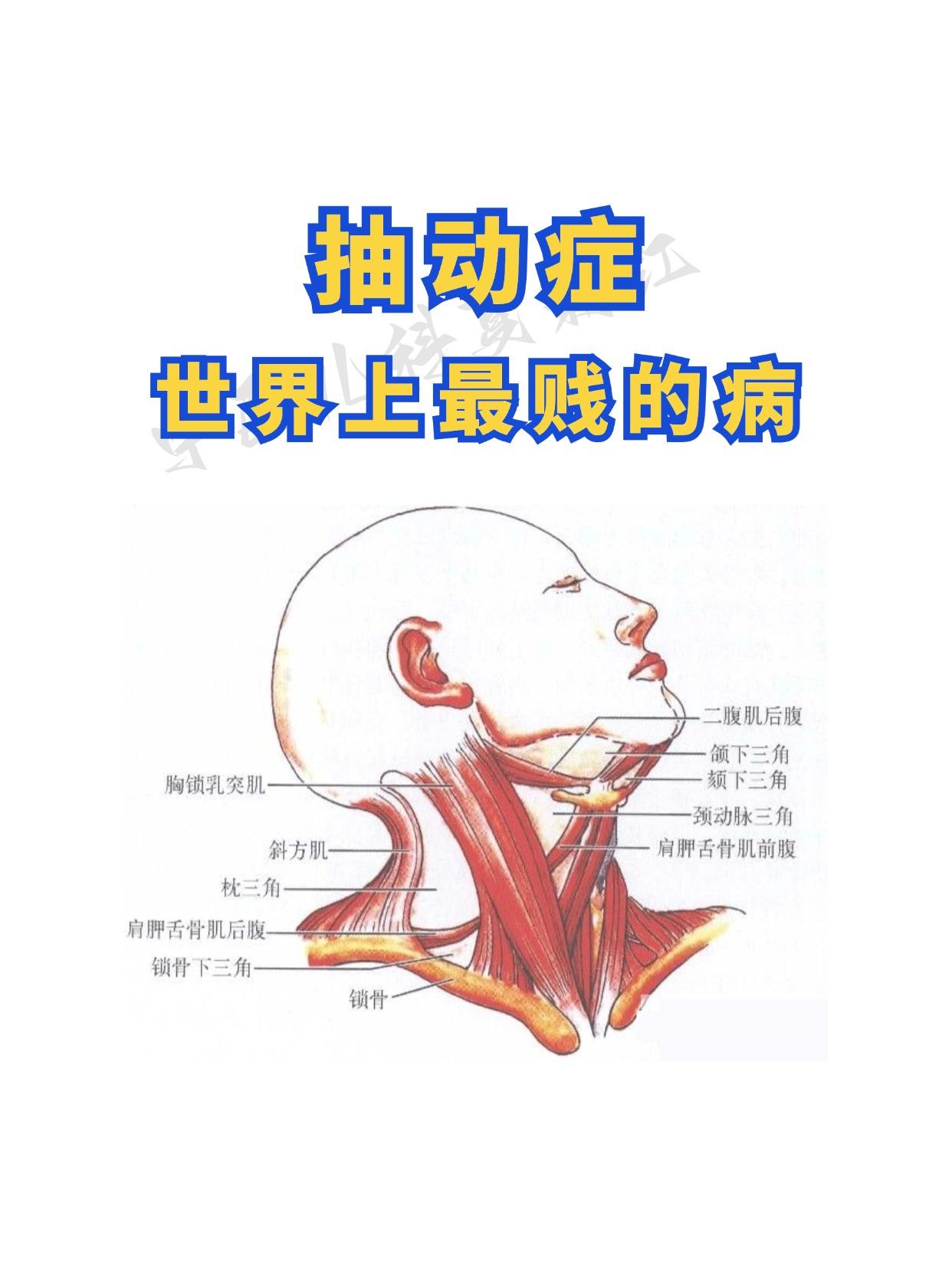 抽动症——世界上最贱的病！
 
抽动症并非是孩子 “故意为之”，而是由于神经系统