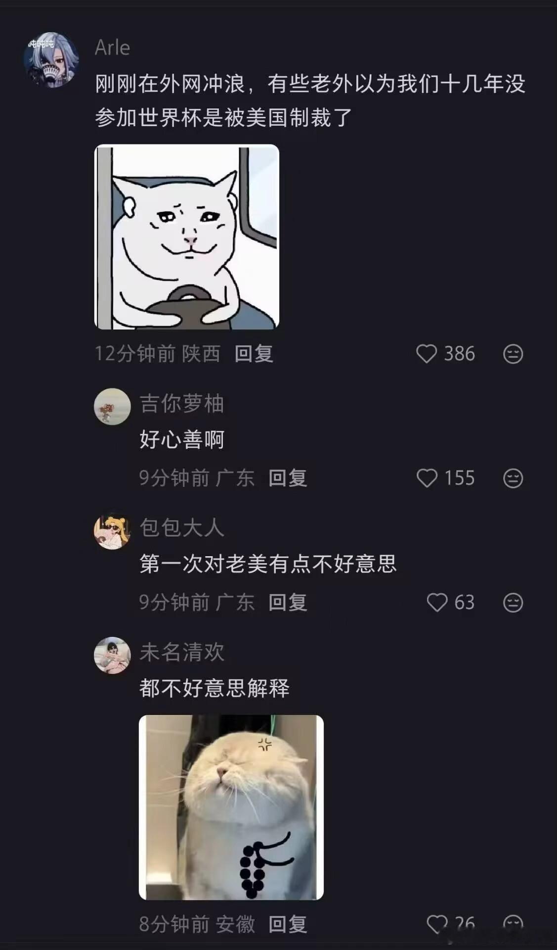外国人认为中国没有参加世界杯，是因为被美国制裁……