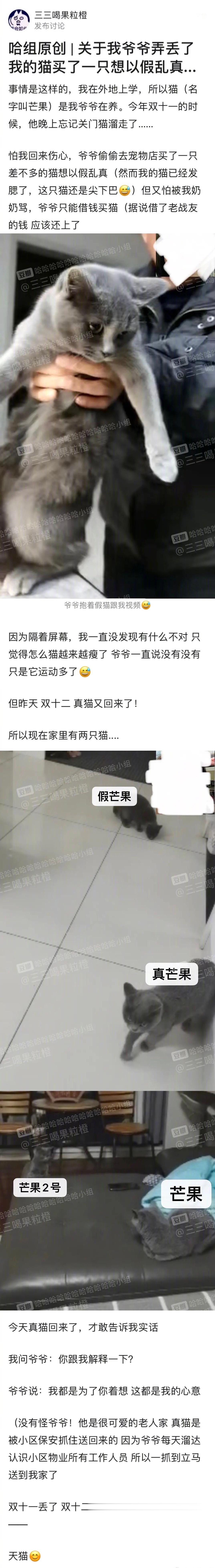 网友发帖吐槽：我爷爷不小心把我的猫弄丢了，向战友借钱买了一只新的 ​​​