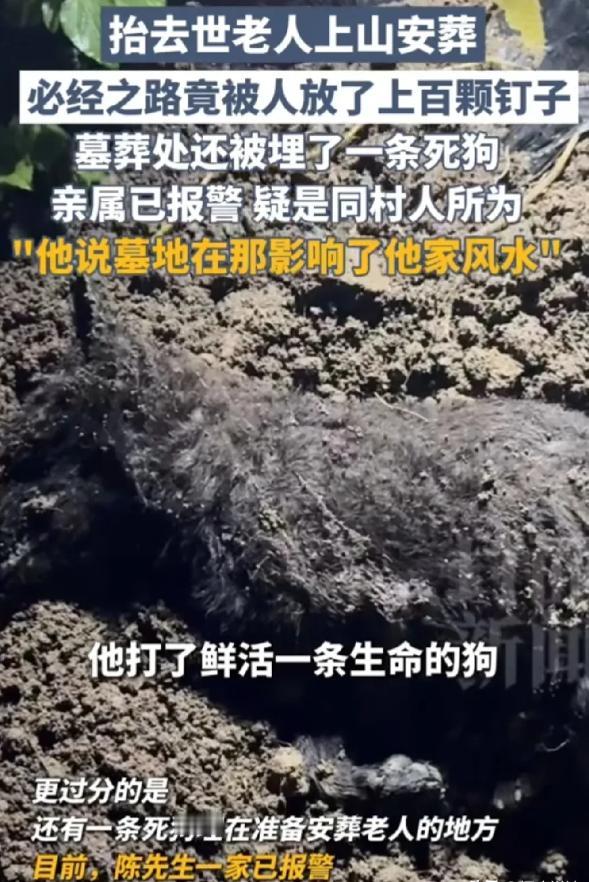“缺不缺德！”重庆老人去世，家属准备将遗体安葬在自家地里。不料，安葬的必经路上，