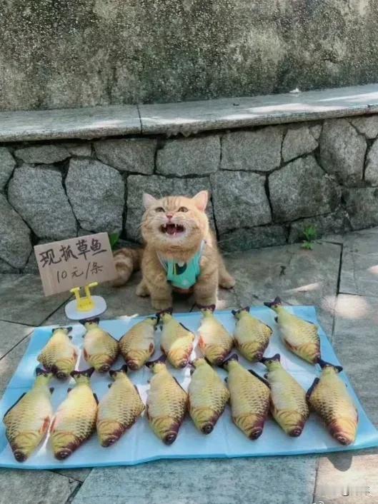 生意不好做啊