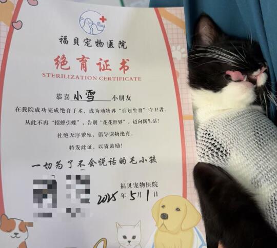 喵生大事完成！