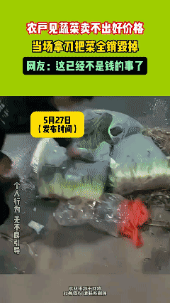 农戸见蔬菜卖不出好价格
当场拿刀把菜全销毀掉
网友:这已经不是钱的事了
