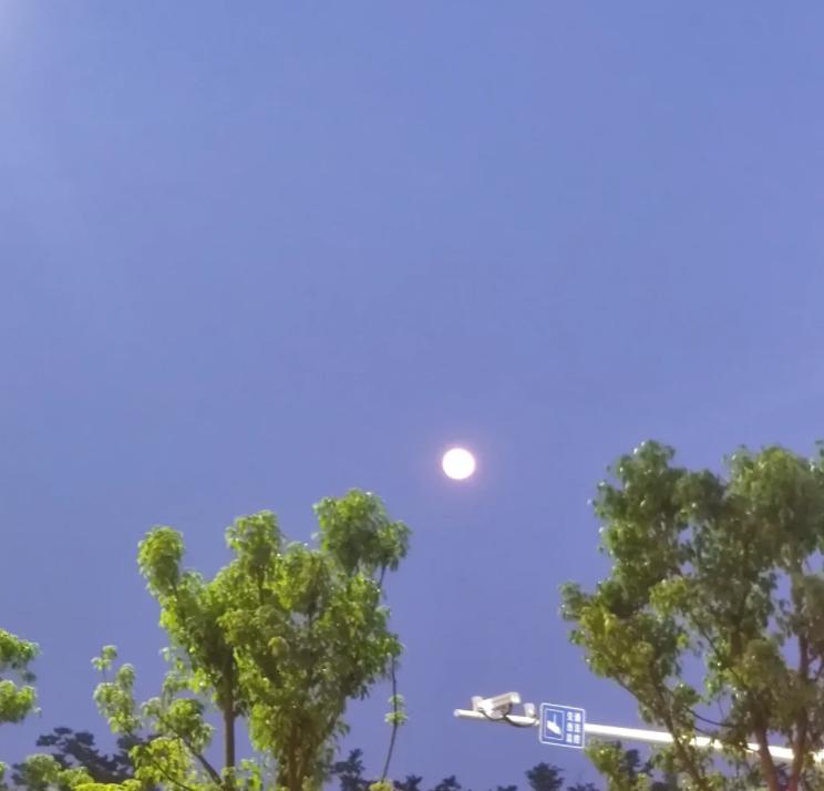 委内瑞拉退群，国际法院遭打脸
亲爱的朋友们大家好，我是海林小百科，今天我们来看看